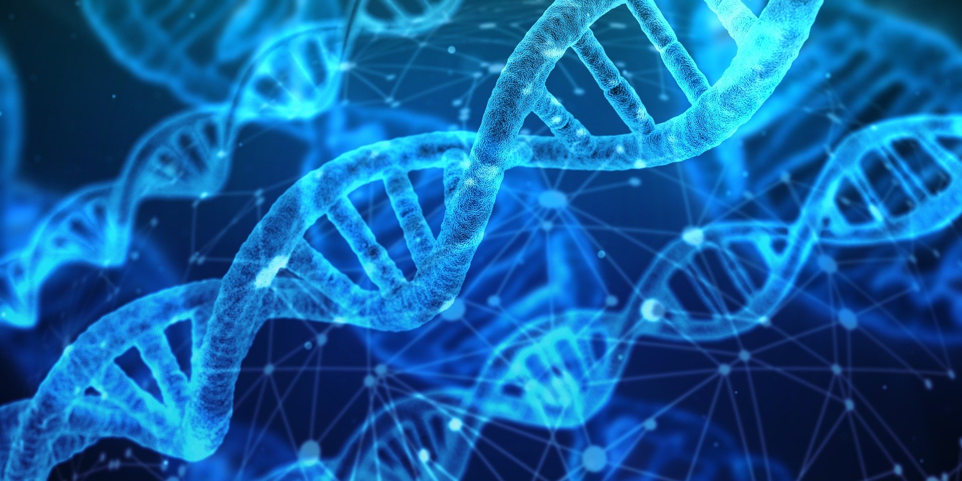 Bild von DNA Strängen in blau